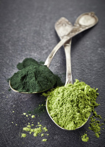 two silver spoons of spirulina algae and wheat sprouts powder